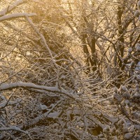 Talvipäivä / A Winter Day / 4